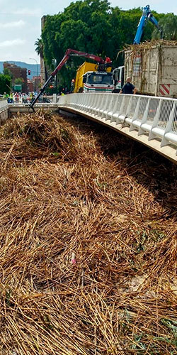Renauto referente en el reciclado de chatarra y metales en la Región de Murcia